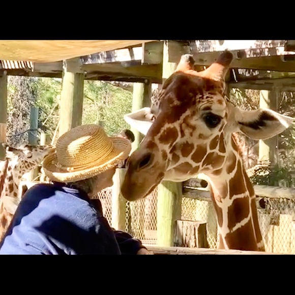 Meet your Posher, Nancy - Picture 1 of 9